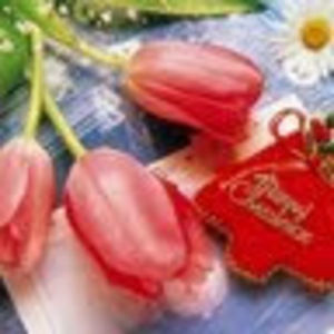 Meet your Posher, Soheila